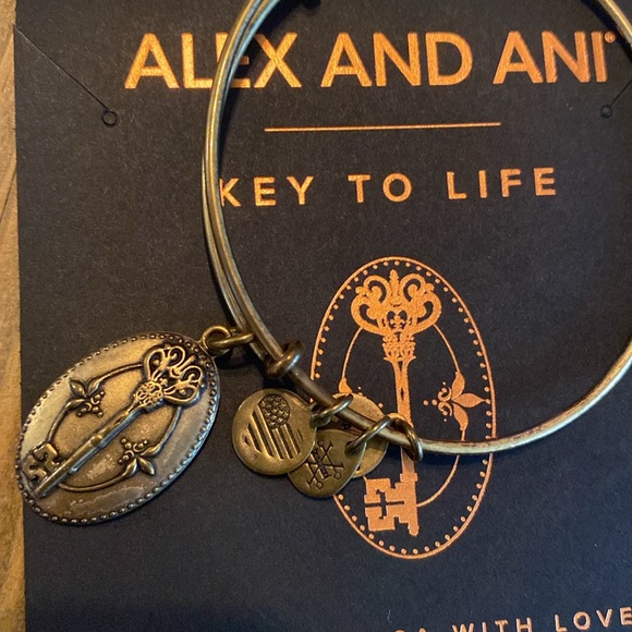 Alex and Ani braclets -key to life -ode to the owl -Aries - Picture 2 of 5